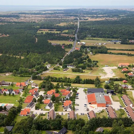Cvi
