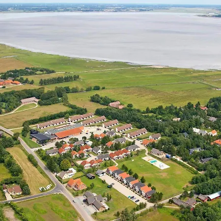 Cvi *